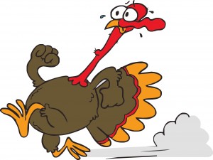 Turkey1